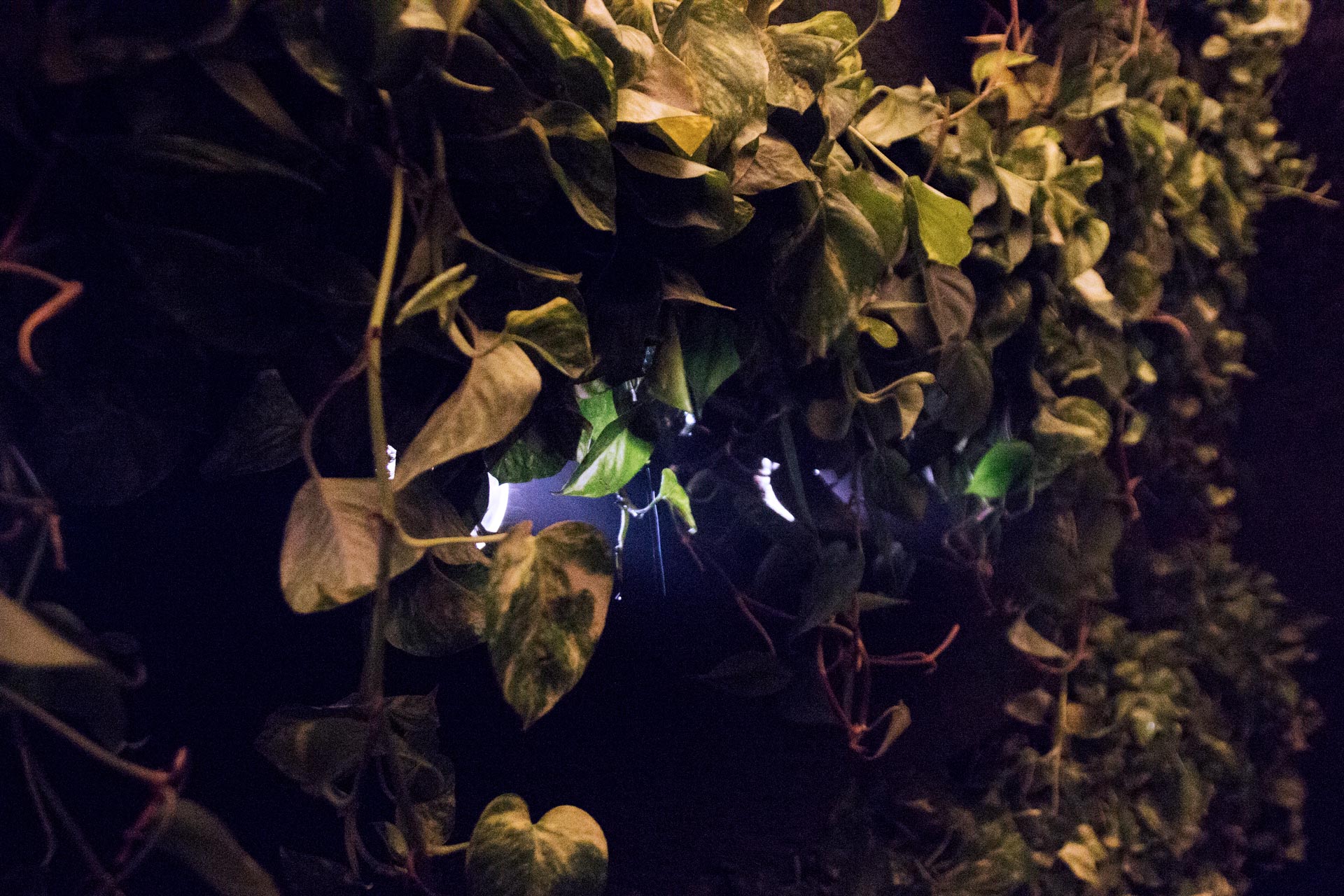 Reversío at EDIT Toronto 2017