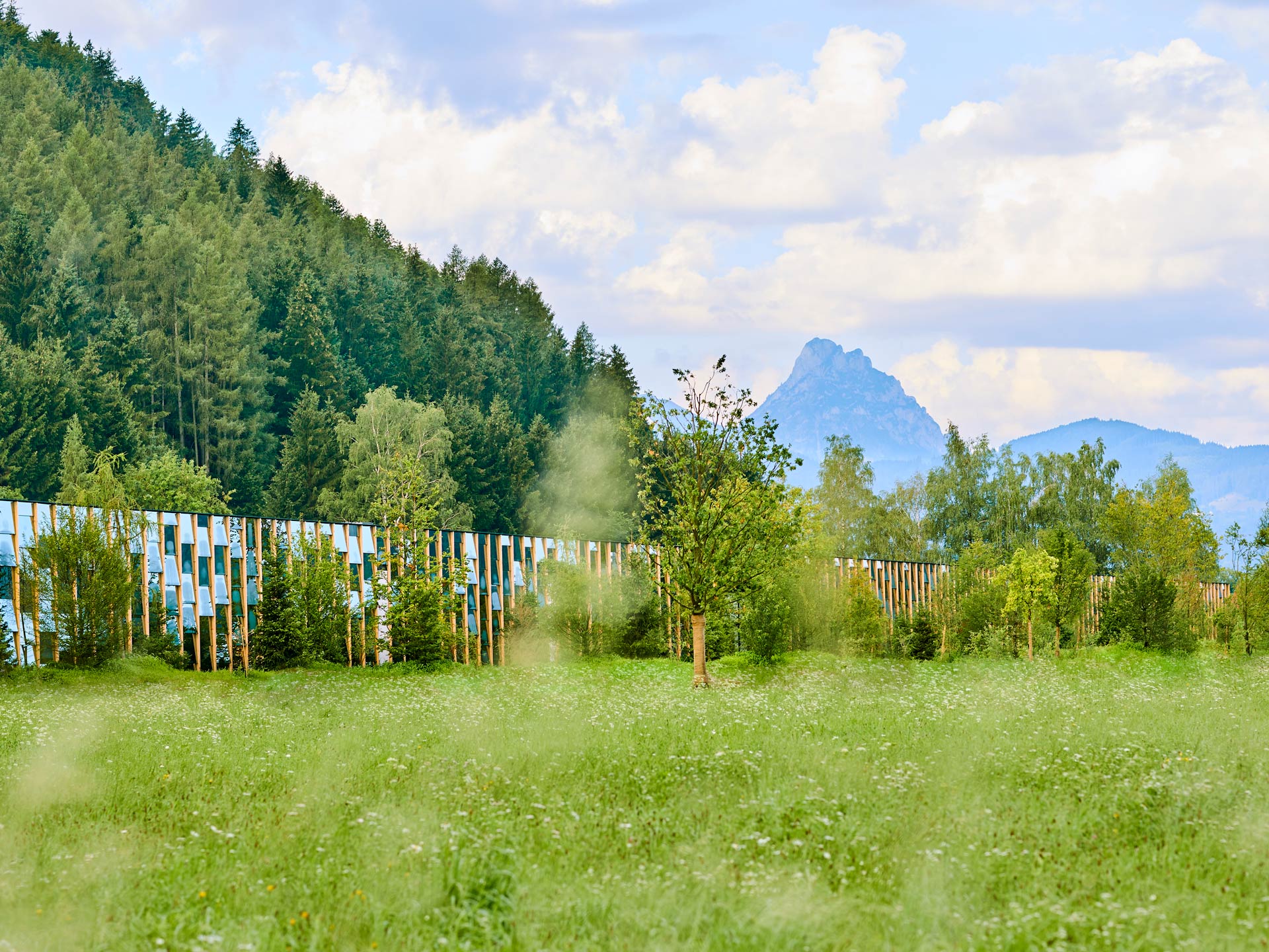 Grüne Erde World - Visitor Center and Show Production